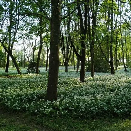 La Roche Cantin Apartamento *