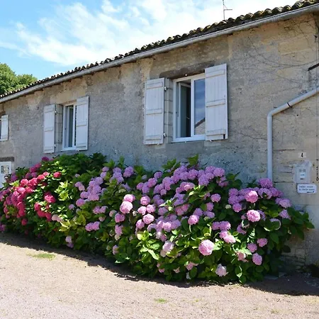 La Roche Cantin * Cherveux
