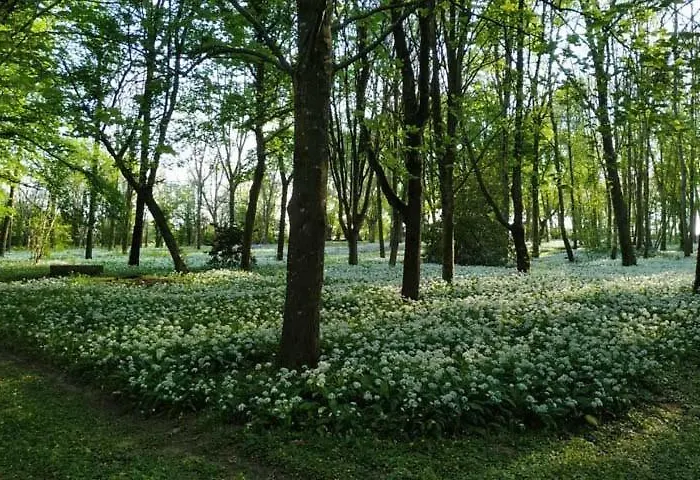 La Roche Cantin Appartamento *