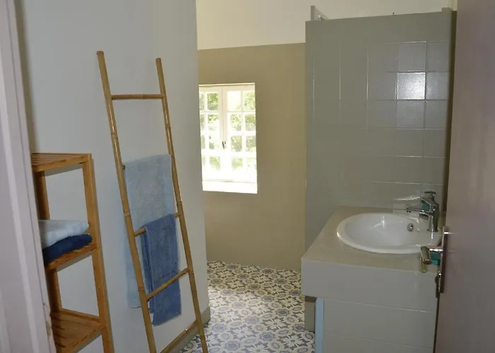 La Roche Cantin * Cherveux